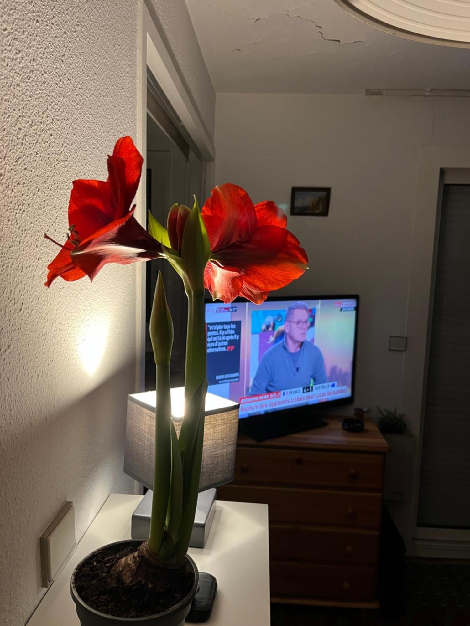 Appartement 34300 Le Cap D'agde *
